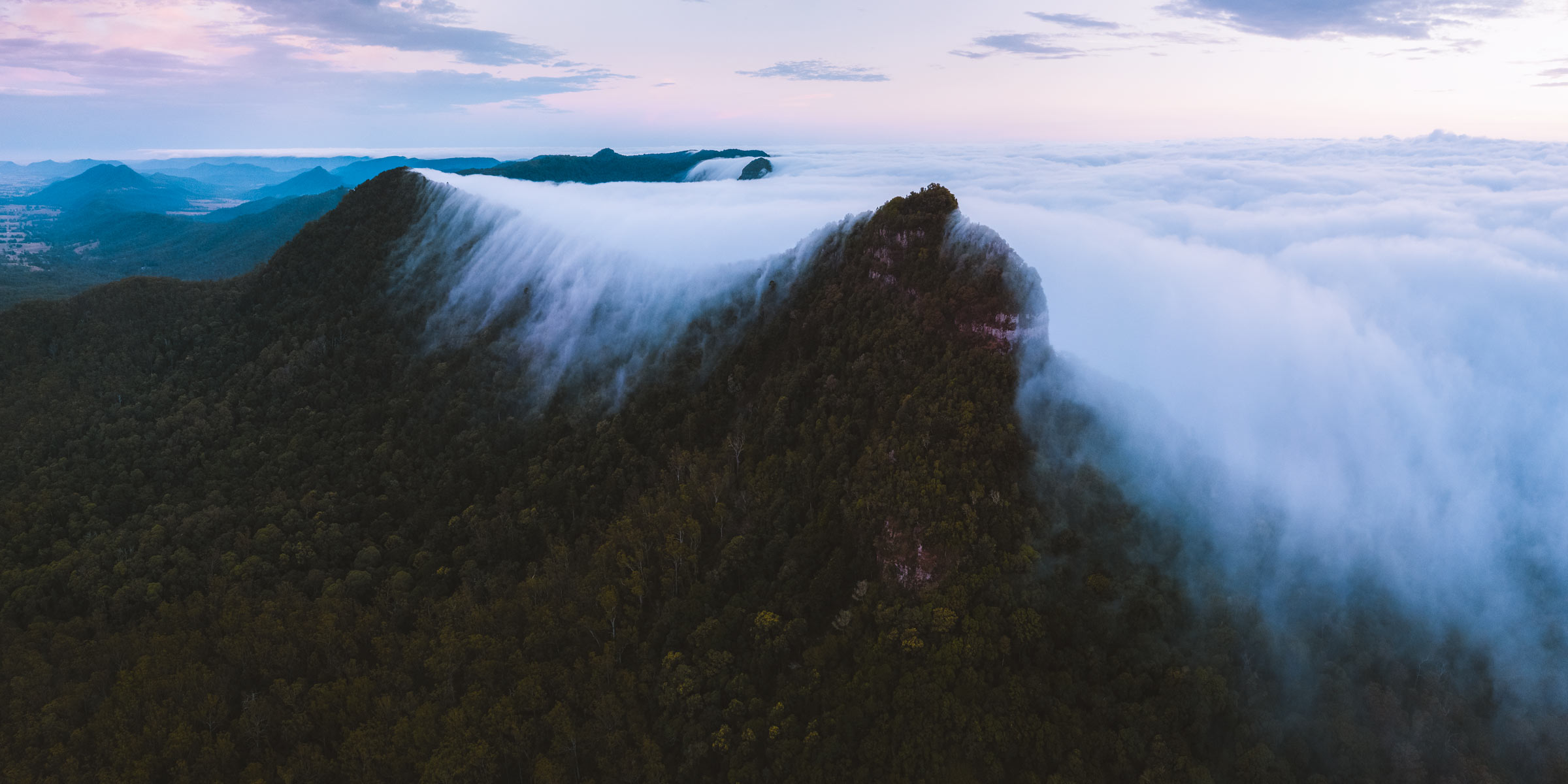 Mt Mitchell, South East Queensland