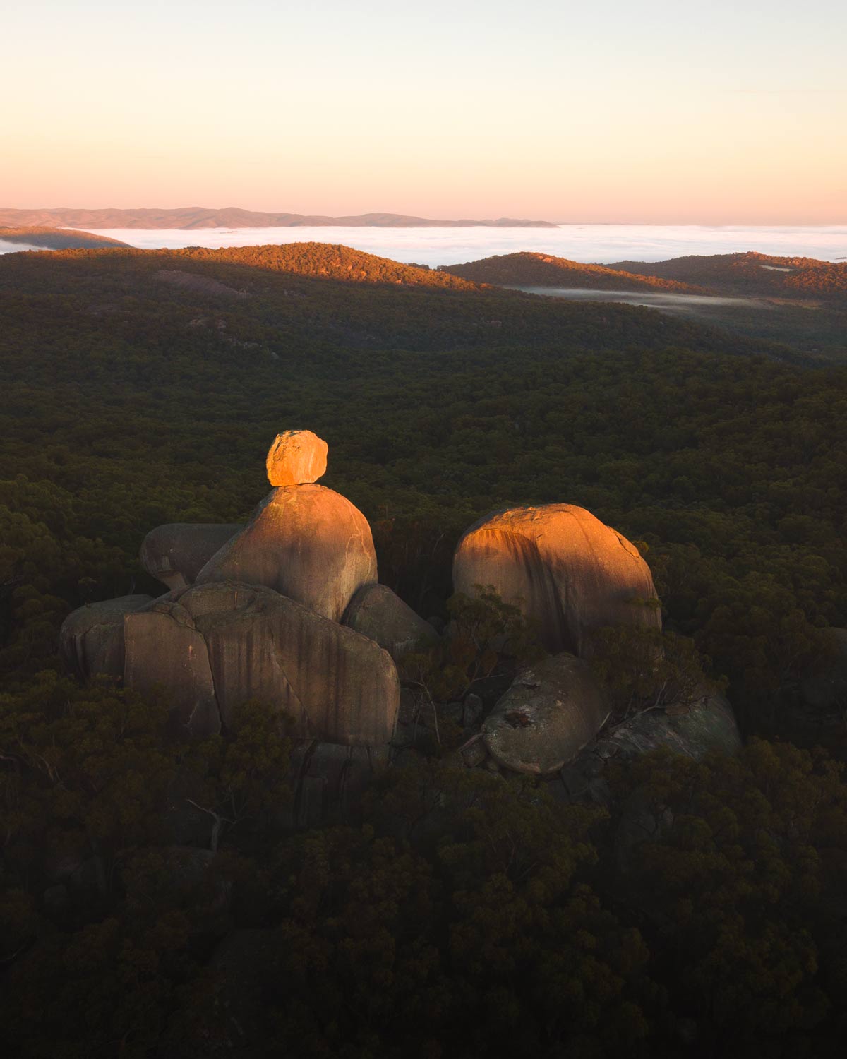 The Sphinx Sunrise Girraween