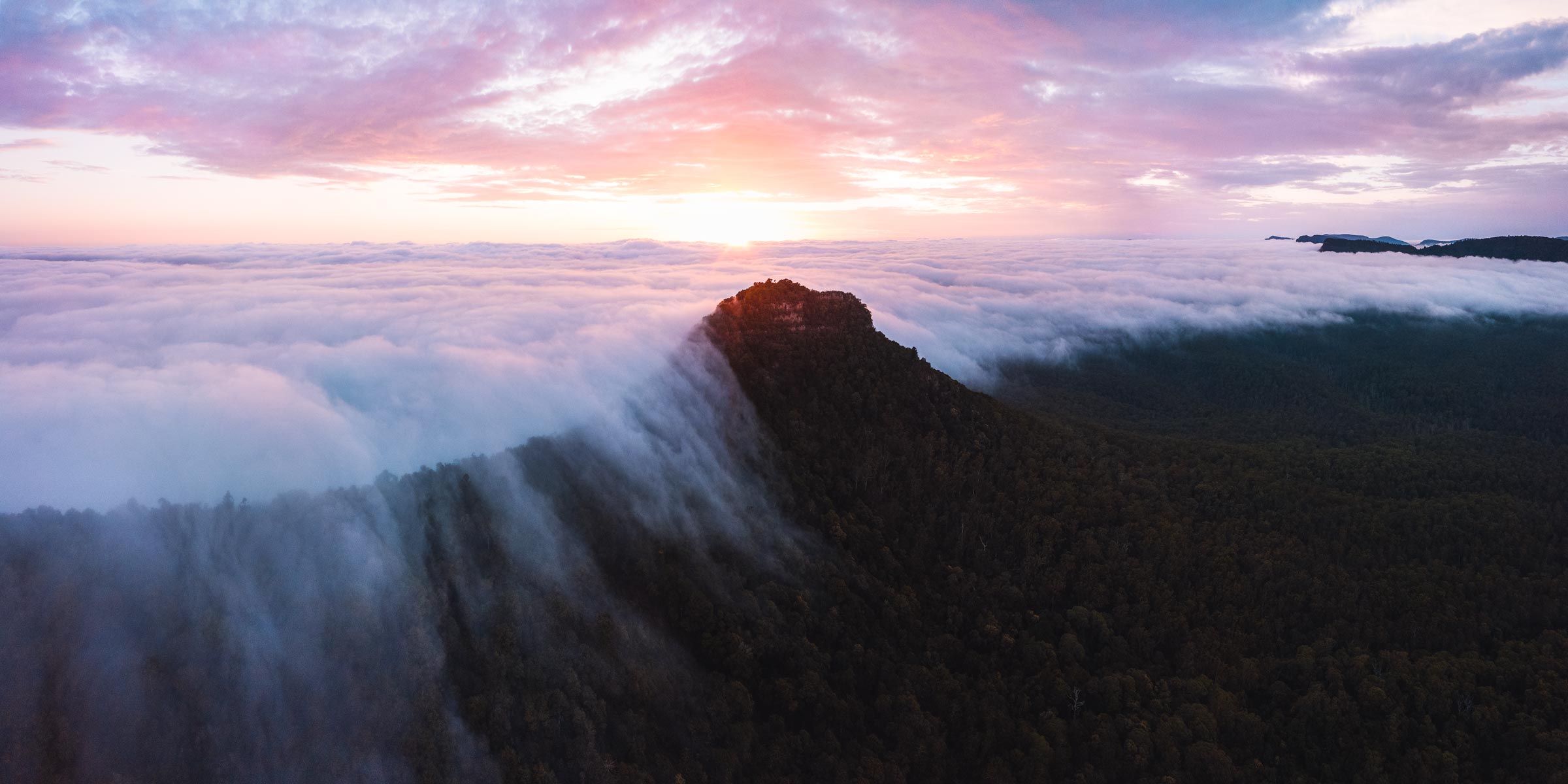 Mt Mitchell, South East Queensland