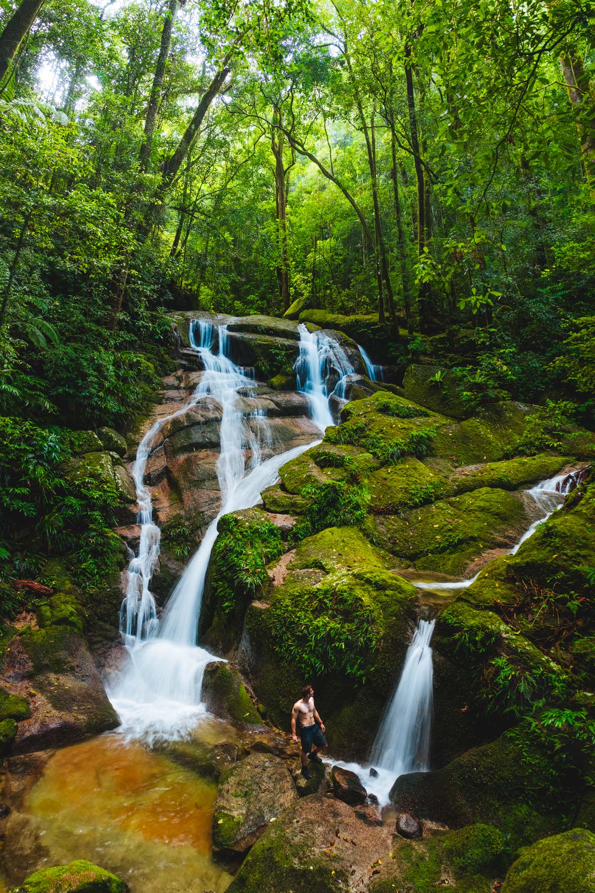 Daintree Rainforest Waterfall