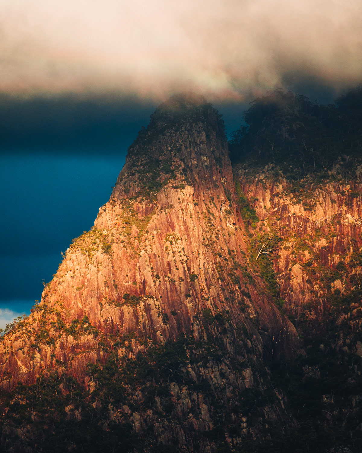 Mt Barney, Scenic Rim