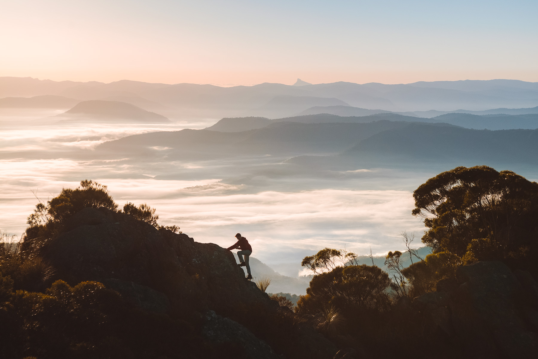 Mt Barney, Scenic Rim