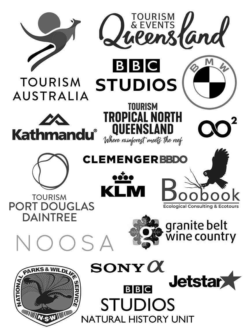 Logo Group